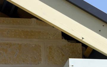soffit repair Sinclairston